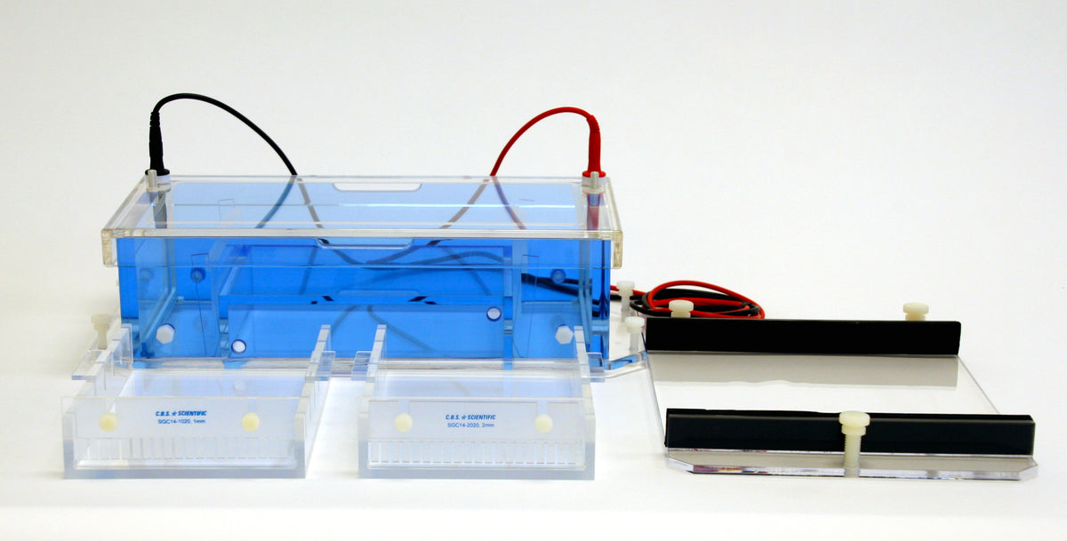 Horizontal Electrophoresis Systems CBS Scientific