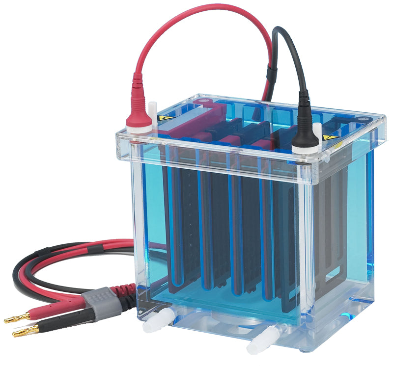 Mini-Blotting System for Electrophoresis Applications – CBS Scientific